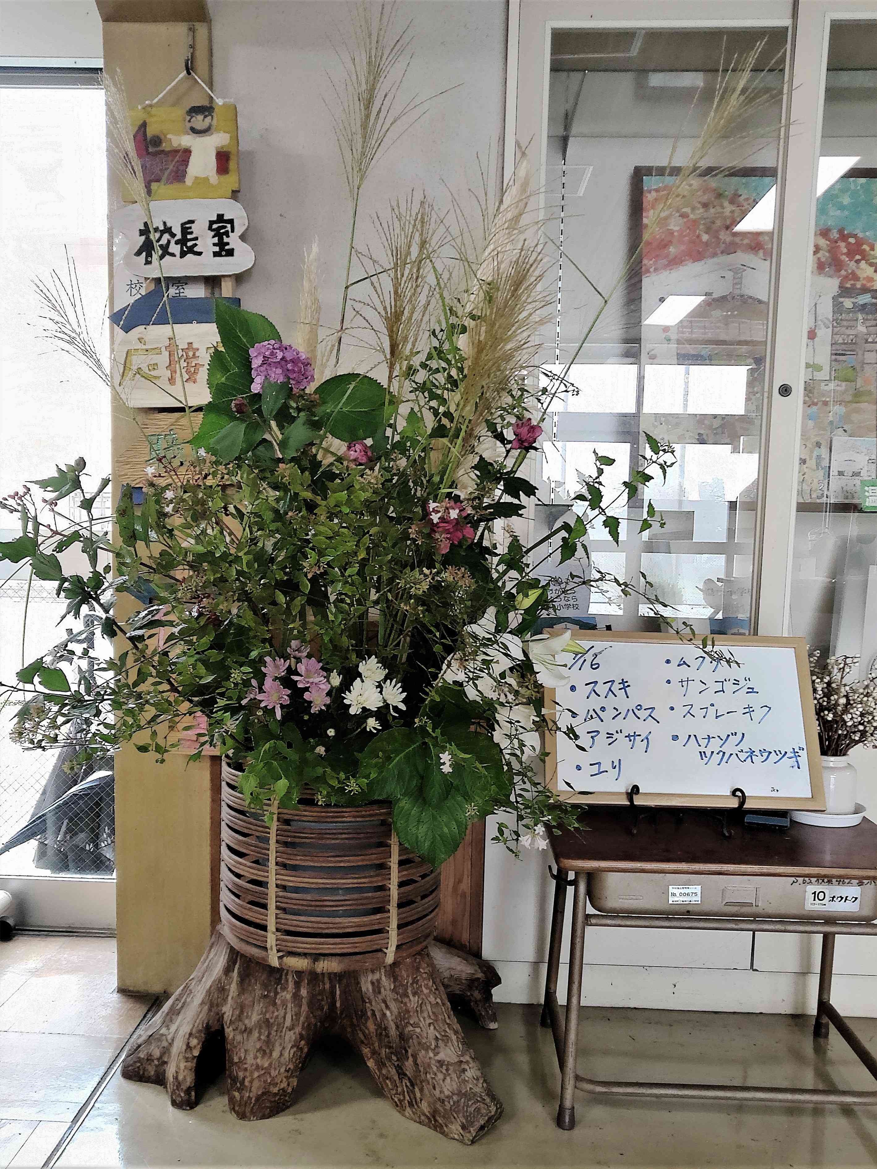 ANMP0012 (2)