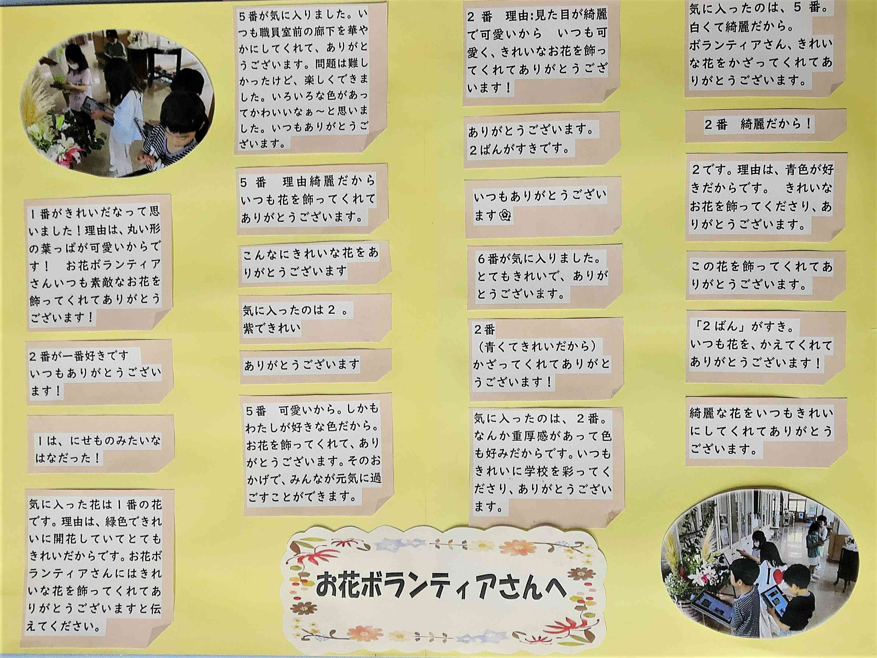 ANMP0275